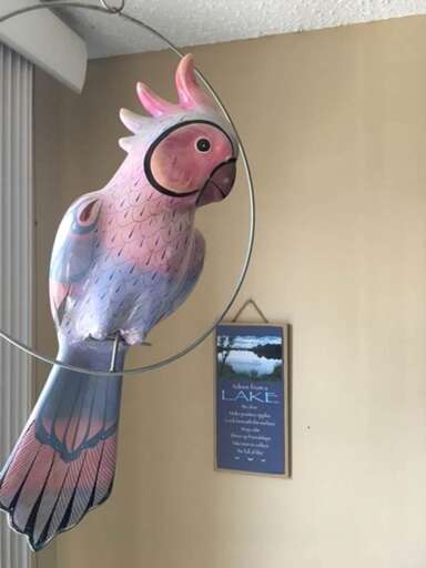 Painted Parrot Sign At A Vacation Rental
