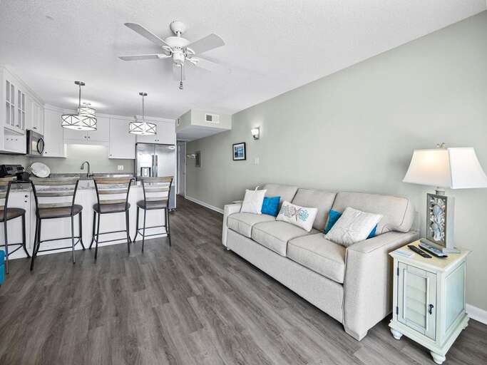 Living Room and Kitchen