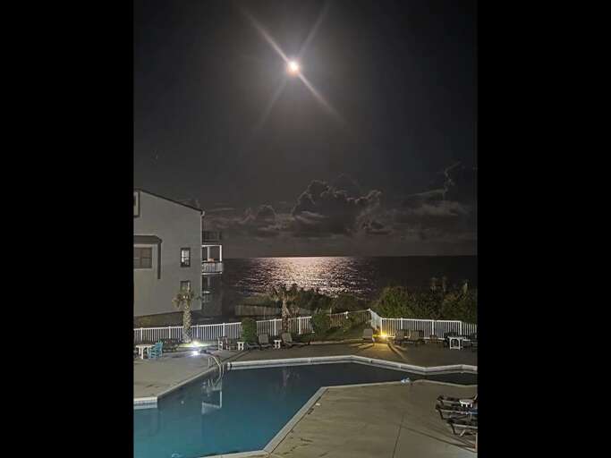 Peaceful Tranquility