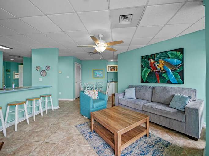 Living Room - Kitchen