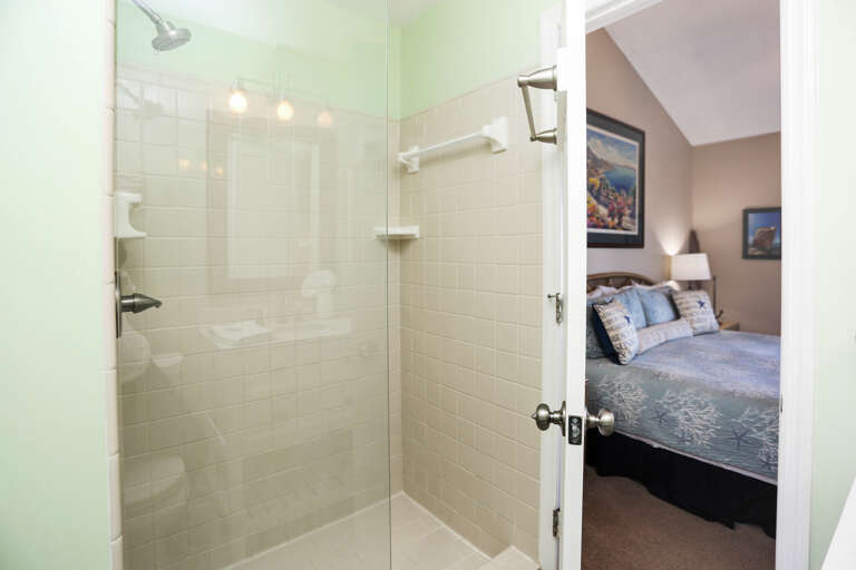 Bedroom 1 - Master Bath Shower