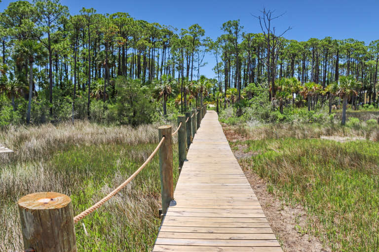 Dock Connects you from Land to Bay