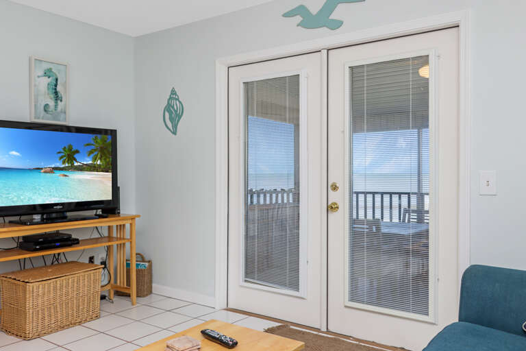 Living Room View and TV