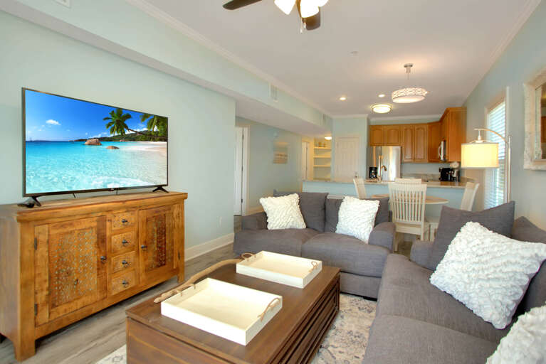 Living Room with TV Living Room with TV