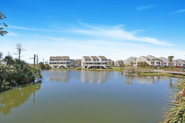 Pond View