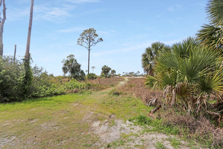 Footpath Through Salinas Park to Beach Access
