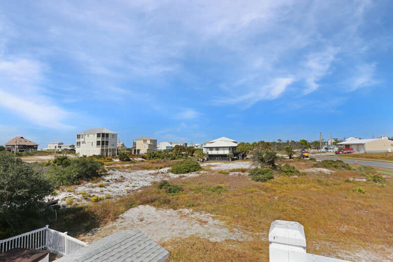 View with Longbills in the Distance
