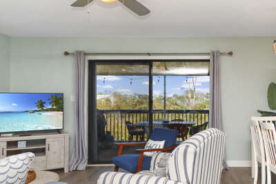 Living Area View