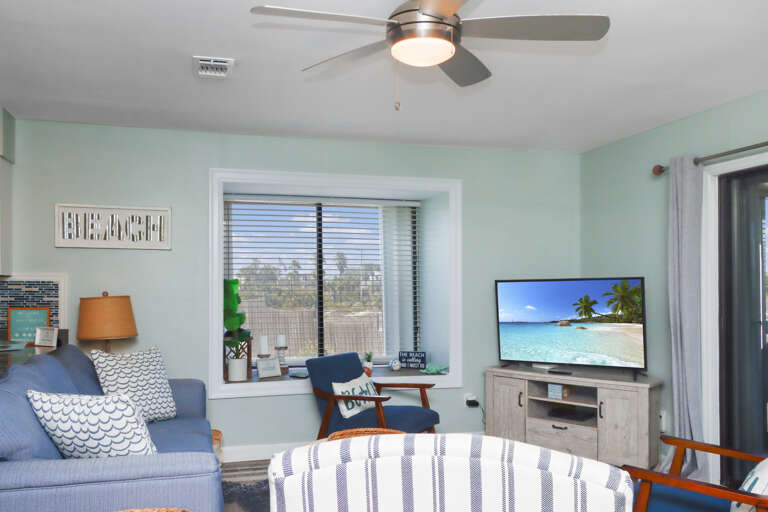 Living Room with TV
