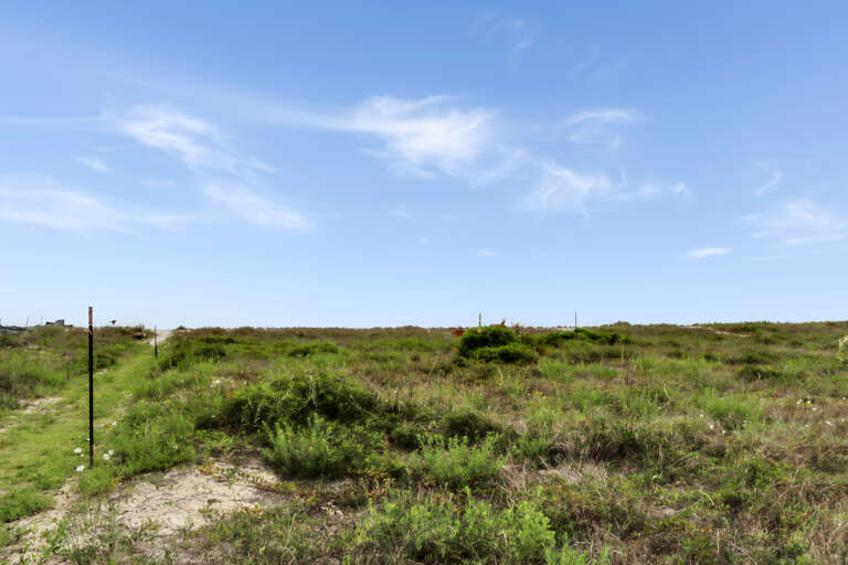 Beach View
