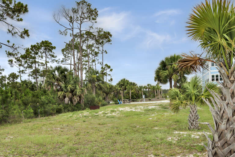 Large Lot