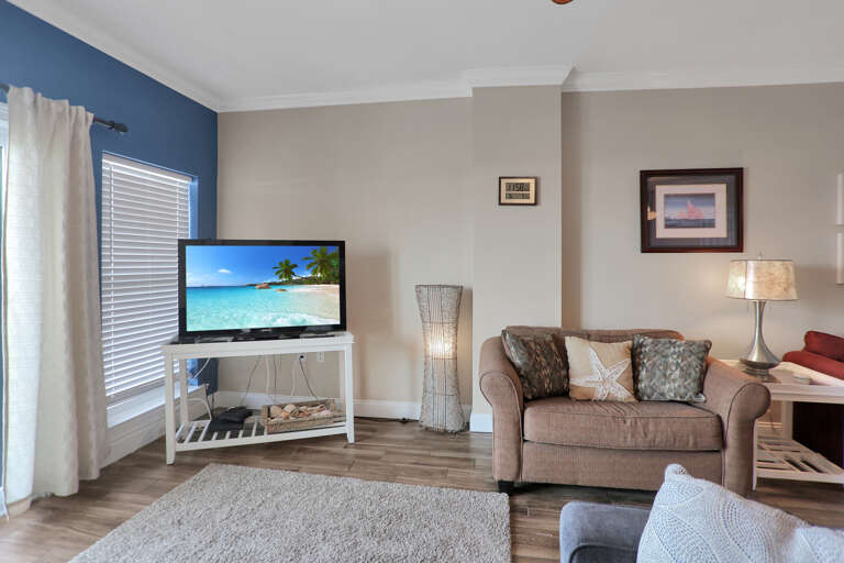 Living Room - Sleeper Sofa