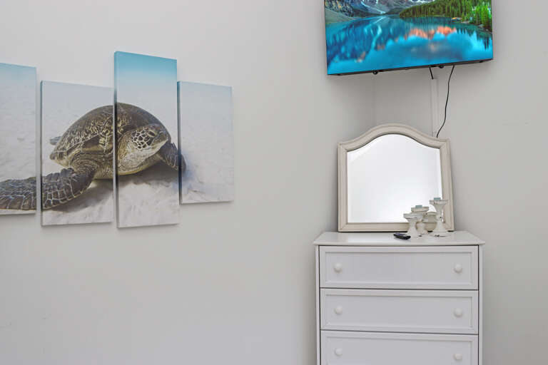 Bedroom 5 with TV BZuilt in Twin Bunks
