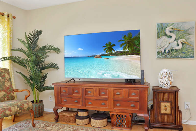 Living Room TV Living Room TV