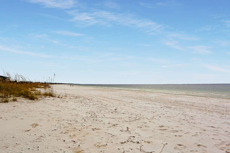 View of Beach to the East
