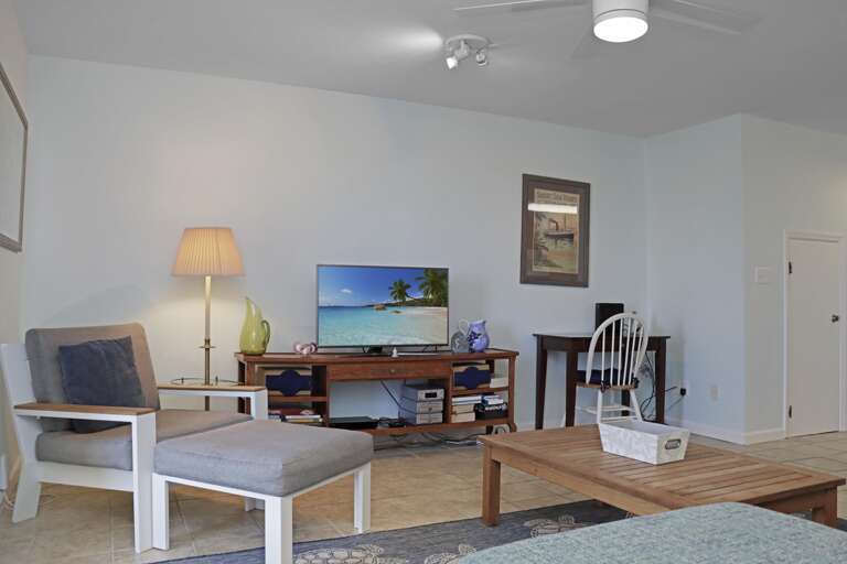 Living Room - TV and Workspace