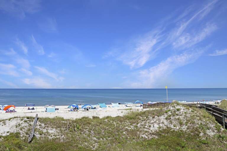 Beach View