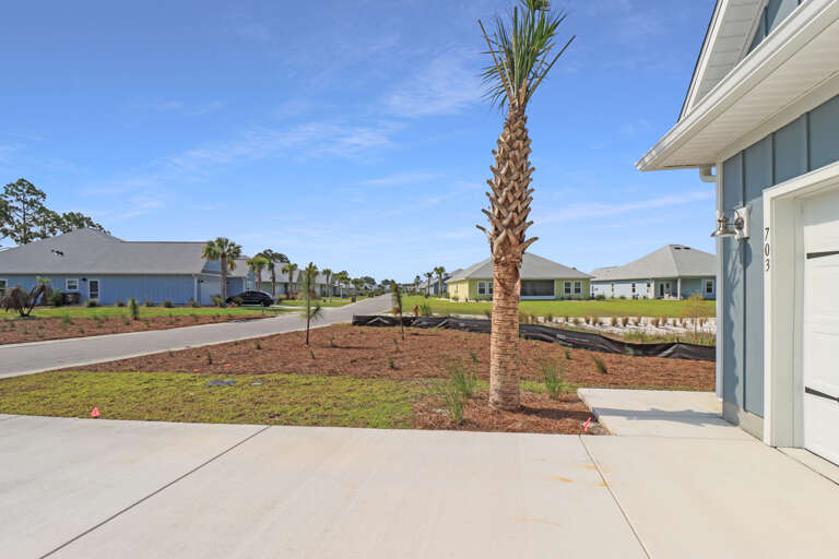 View of the Neighborhood