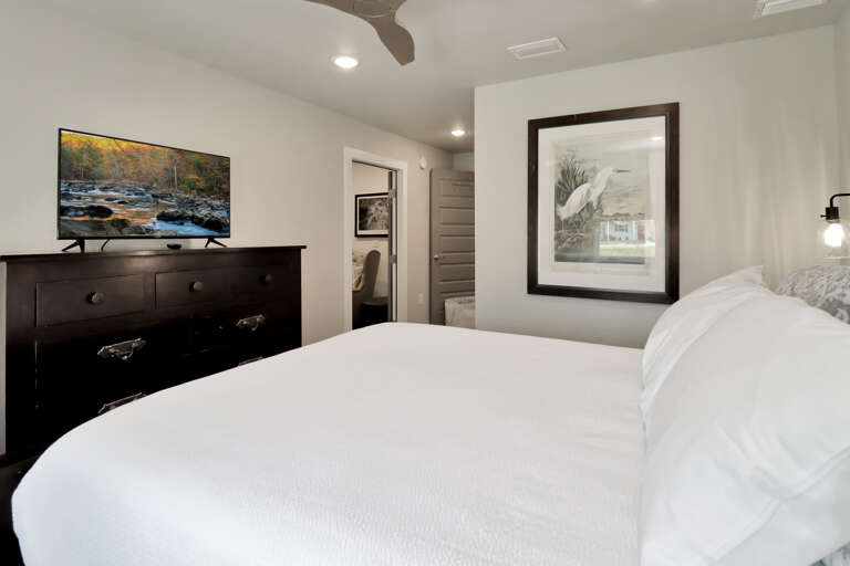 Bedroom with TV and Living Room Bedroom with TV and Living Room