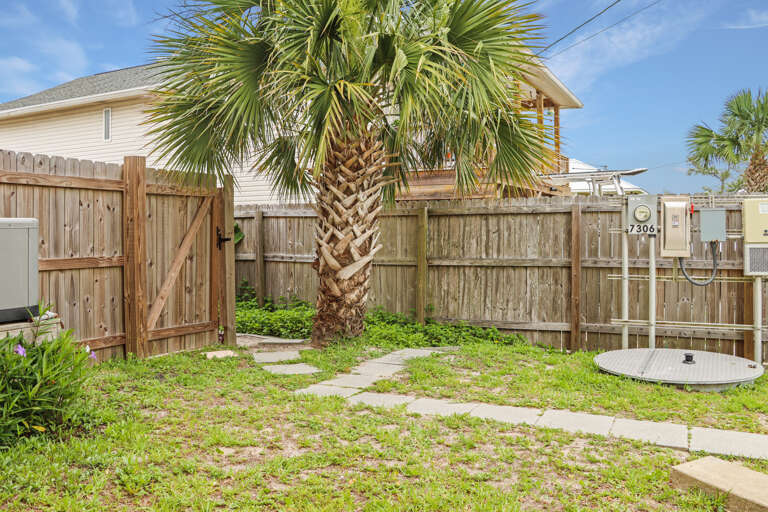 Backyard