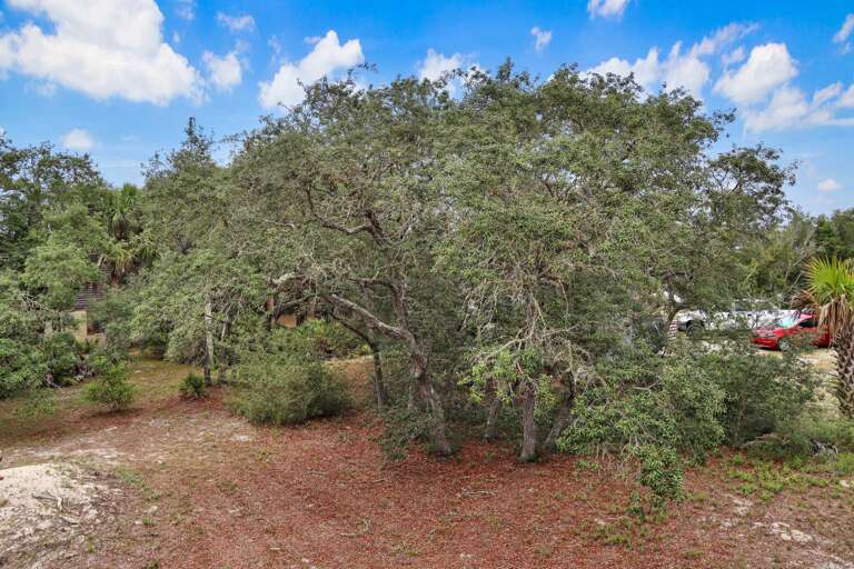 Front Yard Secluded by Natural Vegatation