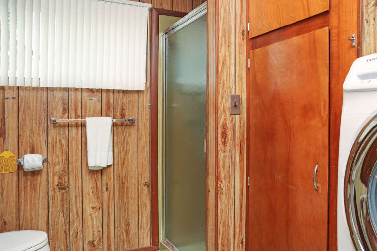 Downstairs Full Bath Shower