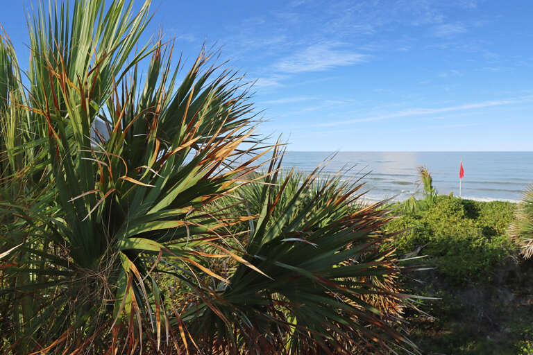 Beach View from All Sides
