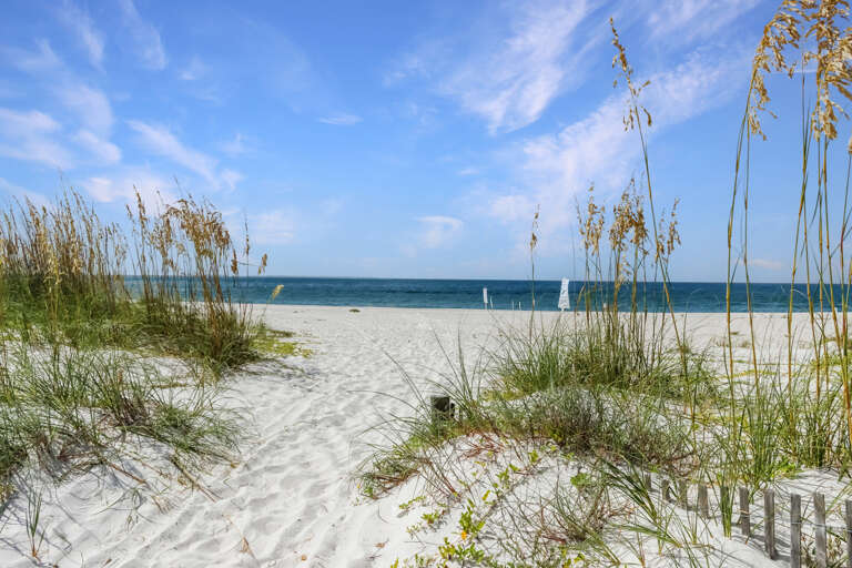 Mexico Beach