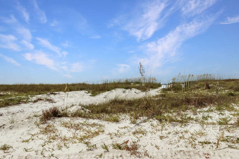 Beach Access Steps Away