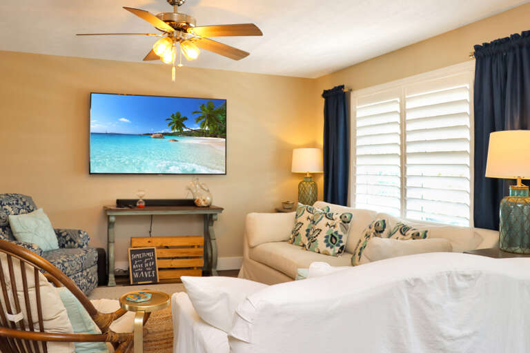 Living Room with Large TV Living Room with Large TV