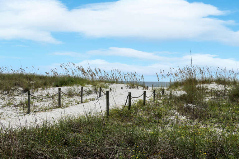 Beach Access