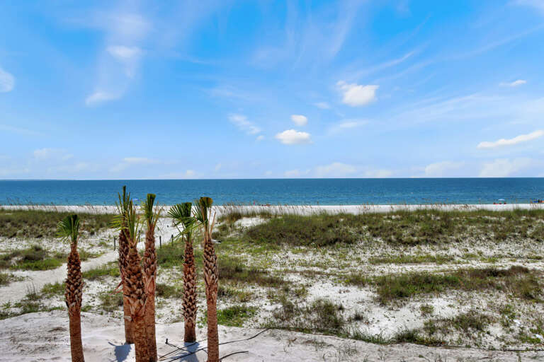 Gorgeous Beach View