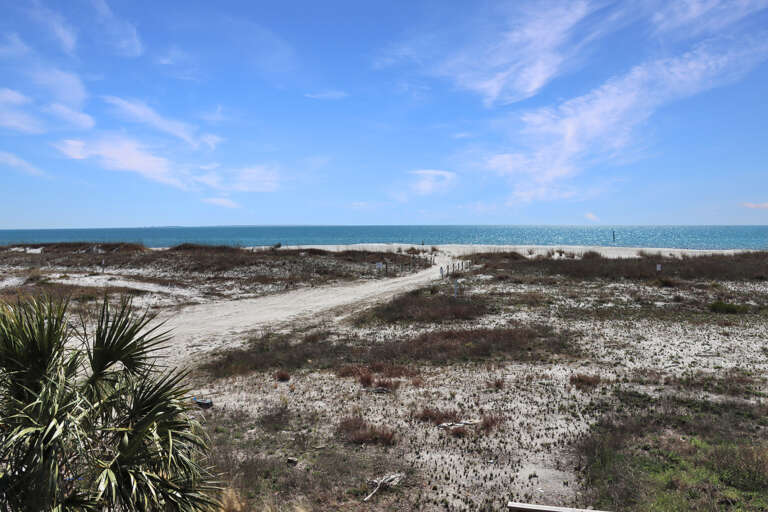 Mexico Beach - View from Deck
