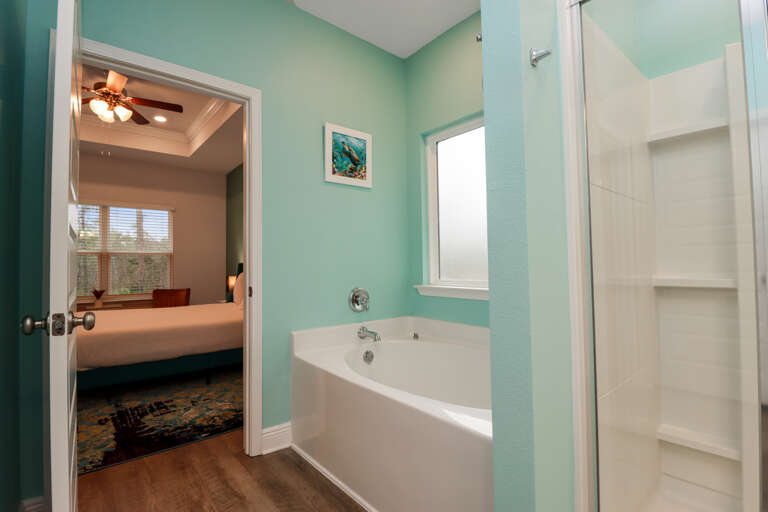 Bedroom 4 - Master Bath Tub