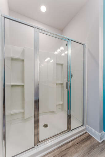Master Bath Walk in Shower
