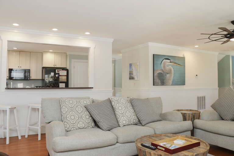 Living Room and Kitchen