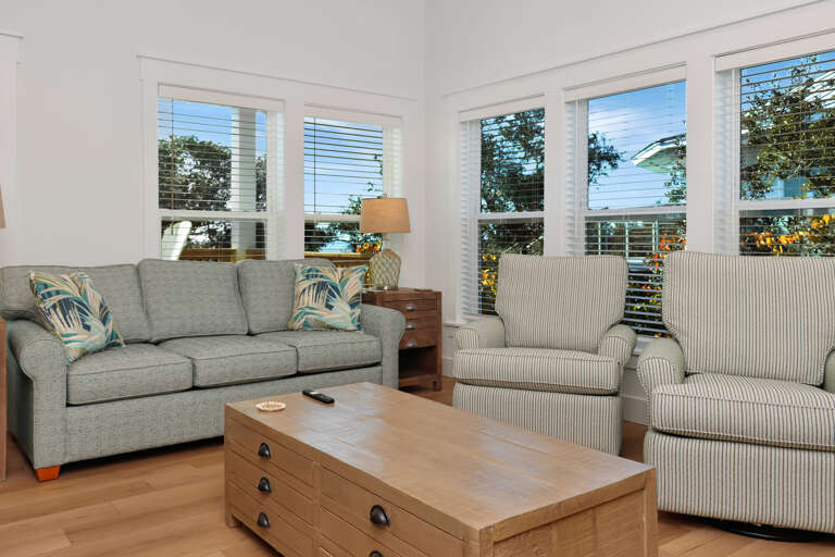 Living Room with Sleeper Sofa