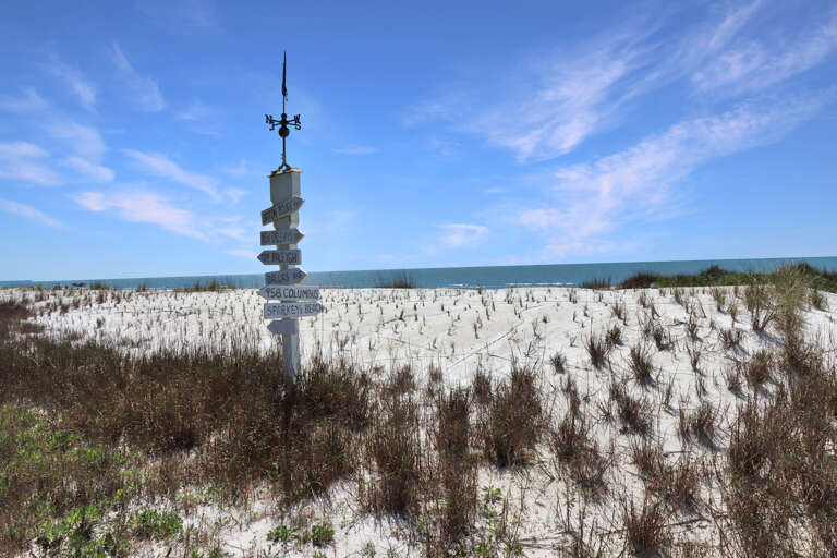 If You're At the Beach, You're Not Lost