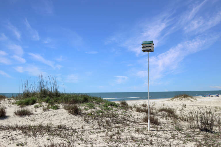 Birdhouse on the Beach