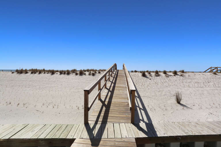 Walkway Over the Dunes