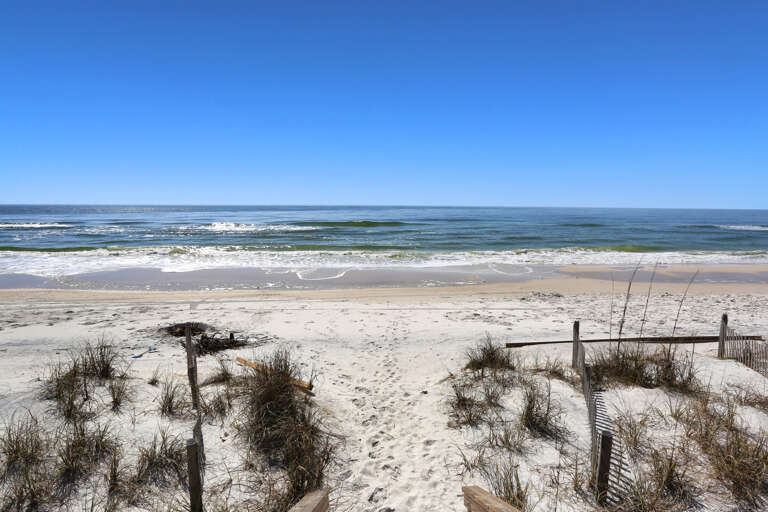View of the Beach