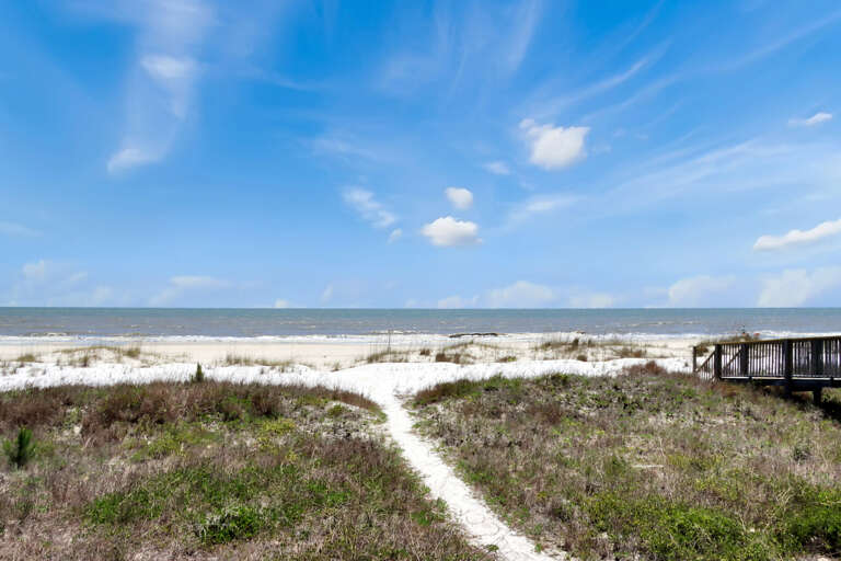 Beach View