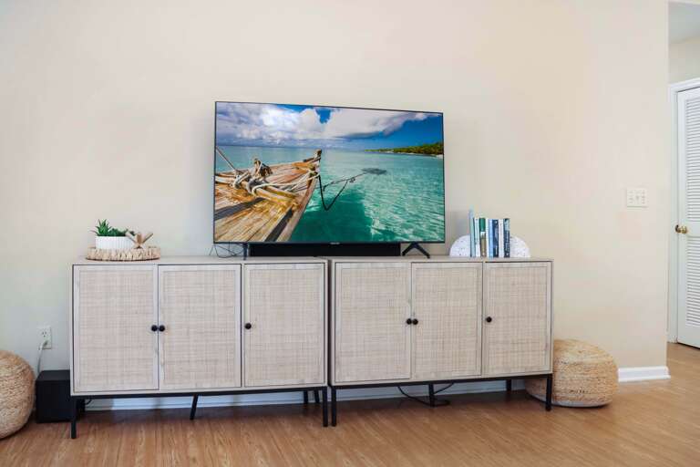 TV and Stand with Games