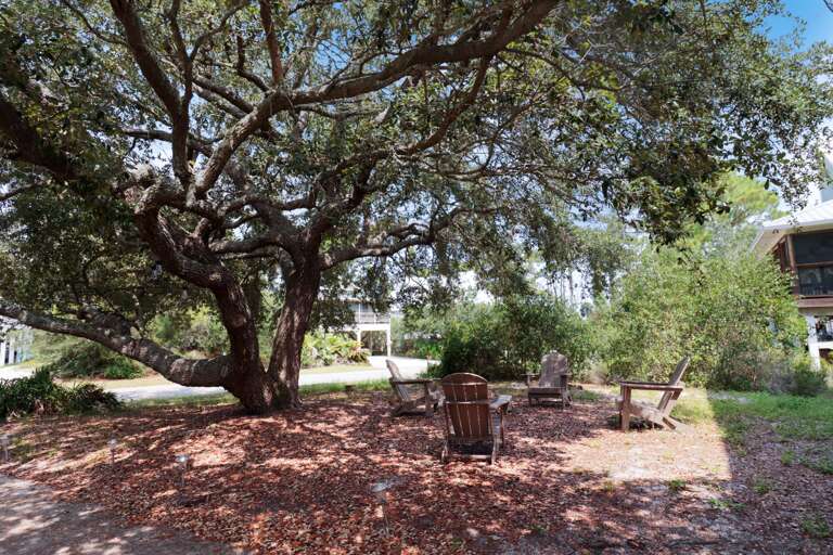 Have a Seat Under the Shade Tree