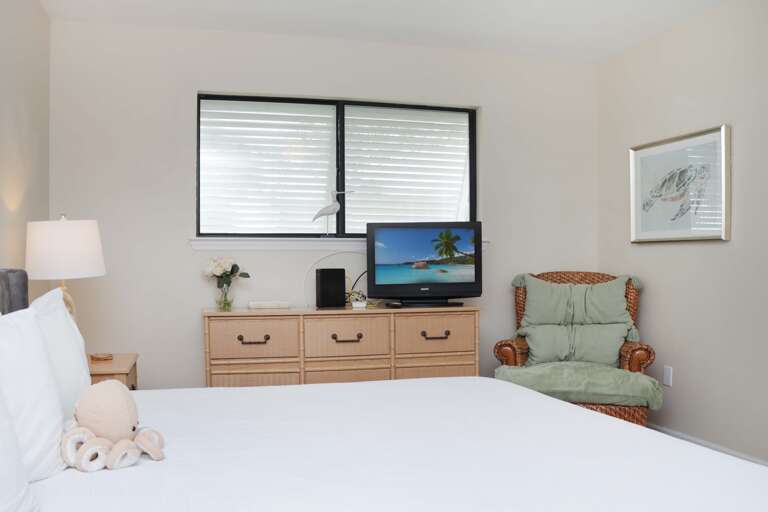 Bedroom 2 with TV