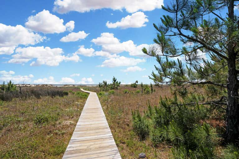 Community Beach Boardwalk