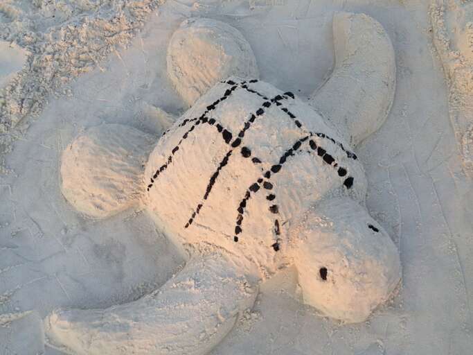 Sea Turtle Sculpture CSB