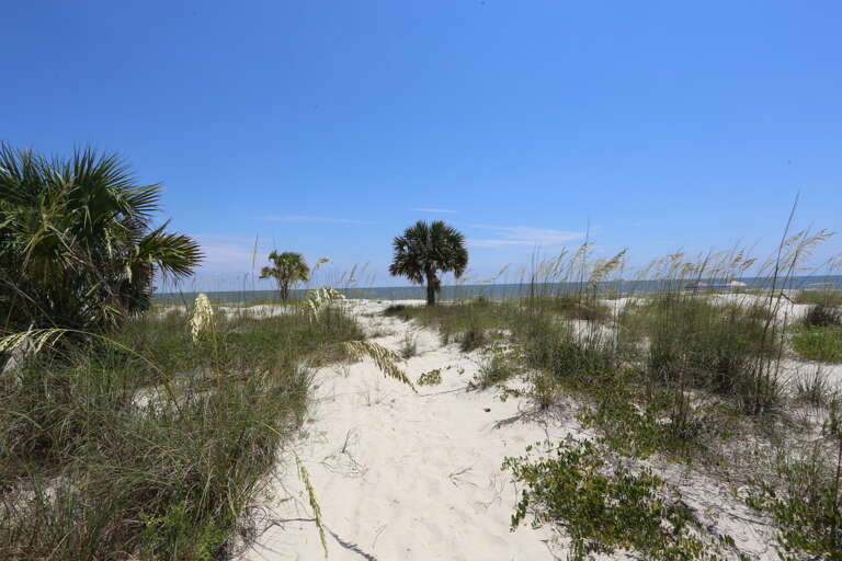 Beach Walkway