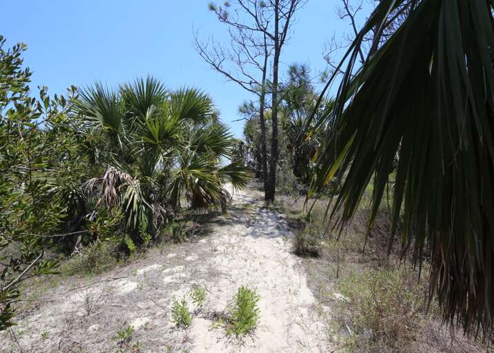 Walkway to Beach Across the Street