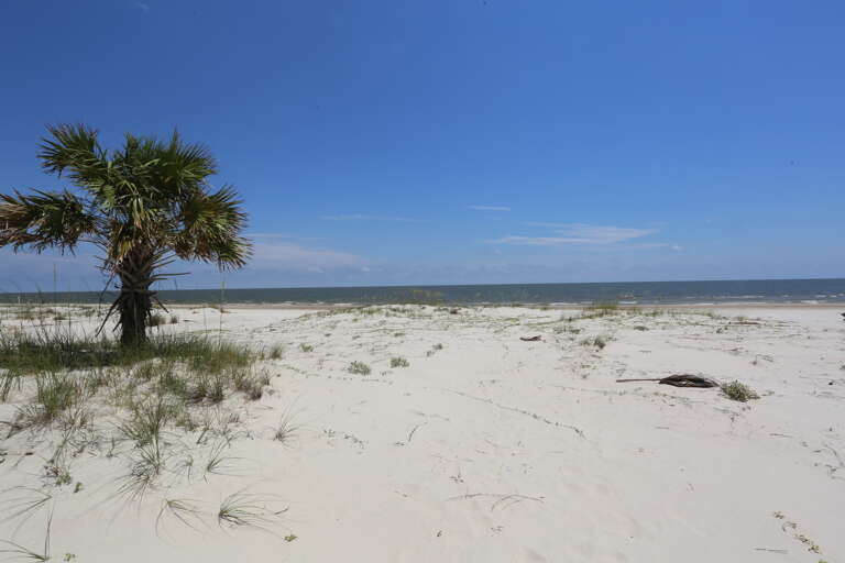 Beach View